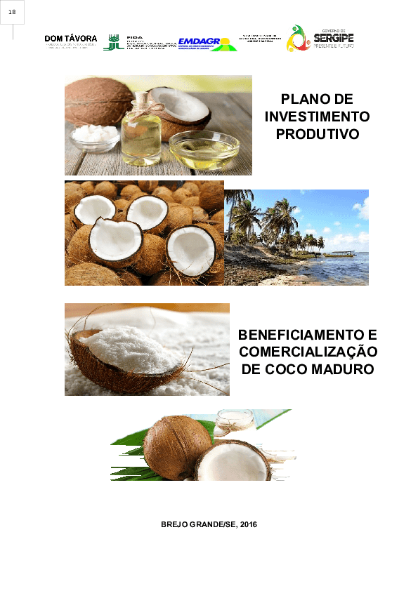 Iniciando um modelo de plano de negócios de exemplo de empresa de produção de açúcar de coco