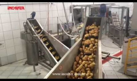 Comece a incrível linha de produção de batatas fritas na fábrica