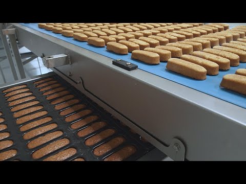 Como são feitos os bolos recheados.  Linha de produção automatizada de bolos