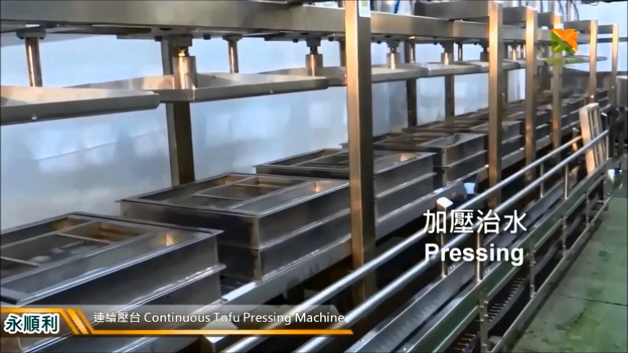 Linha de produção automática personalizada de tofu - economize custos de mão de obra e tempo de produção