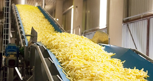 Linha de produção completa de batatas fritas congeladas