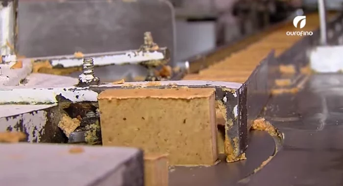 Máquina de fazer doces de amendoim de forma cilíndrica |  Linha de produção de doces de amendoim de forma cilíndrica